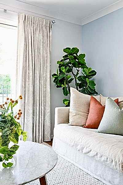 Curtains Custom Made by MotzDesigns in Arteko Fenton Natural Custom Made Cushion by MotzDesigns in Chivasso Devon Blue Wattyl Feature Wall with Lamb's Wool Wattyl Alley Coffee Table with Miguel Brown Recycled Glass Vase with Wax Berry Stems and Fern Kandos Sofa in Natural Fiddle Leaf fig